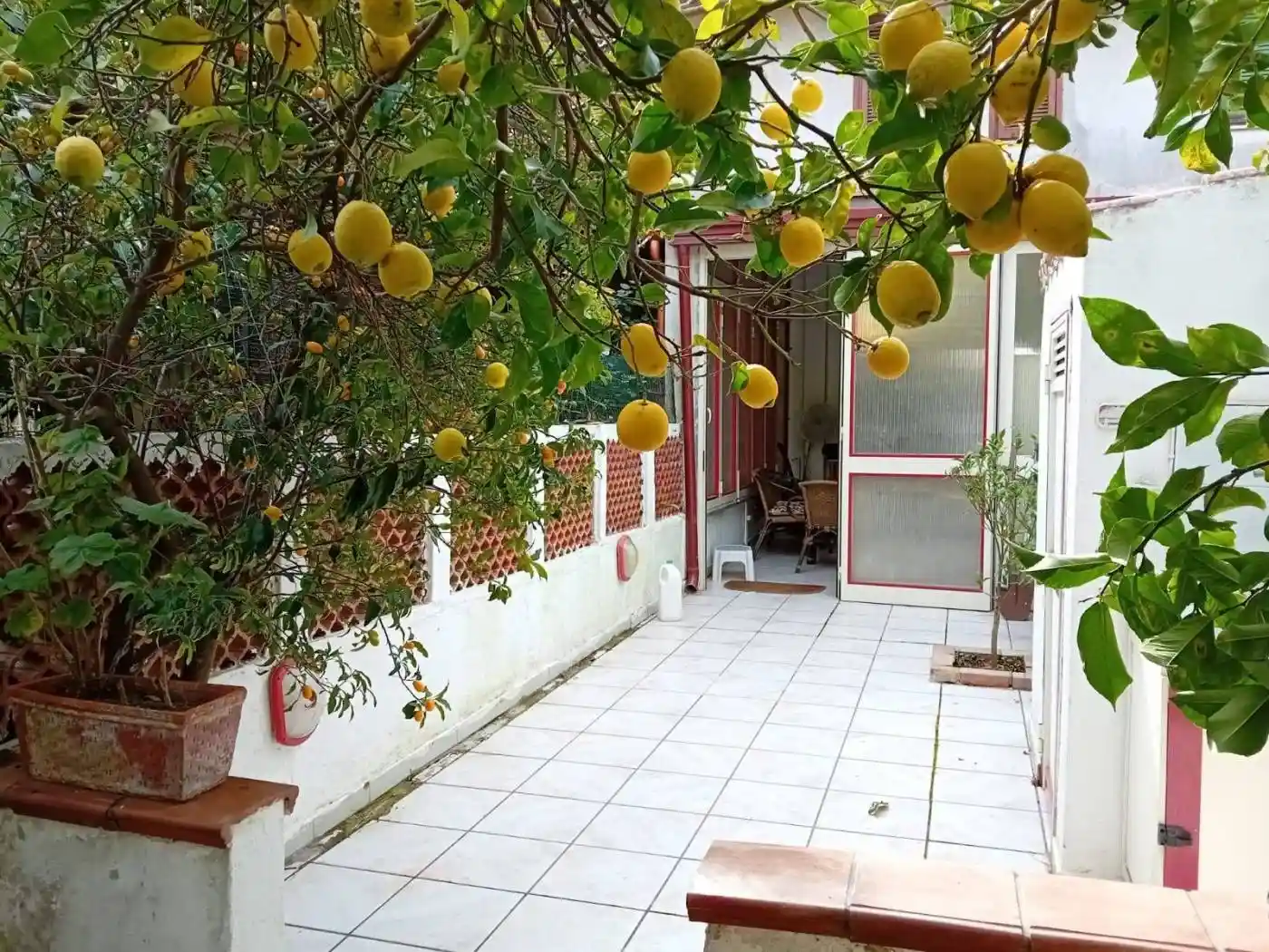 Villa a schiera viale Nausicaa, Roccelletta, Borgia - foto 2