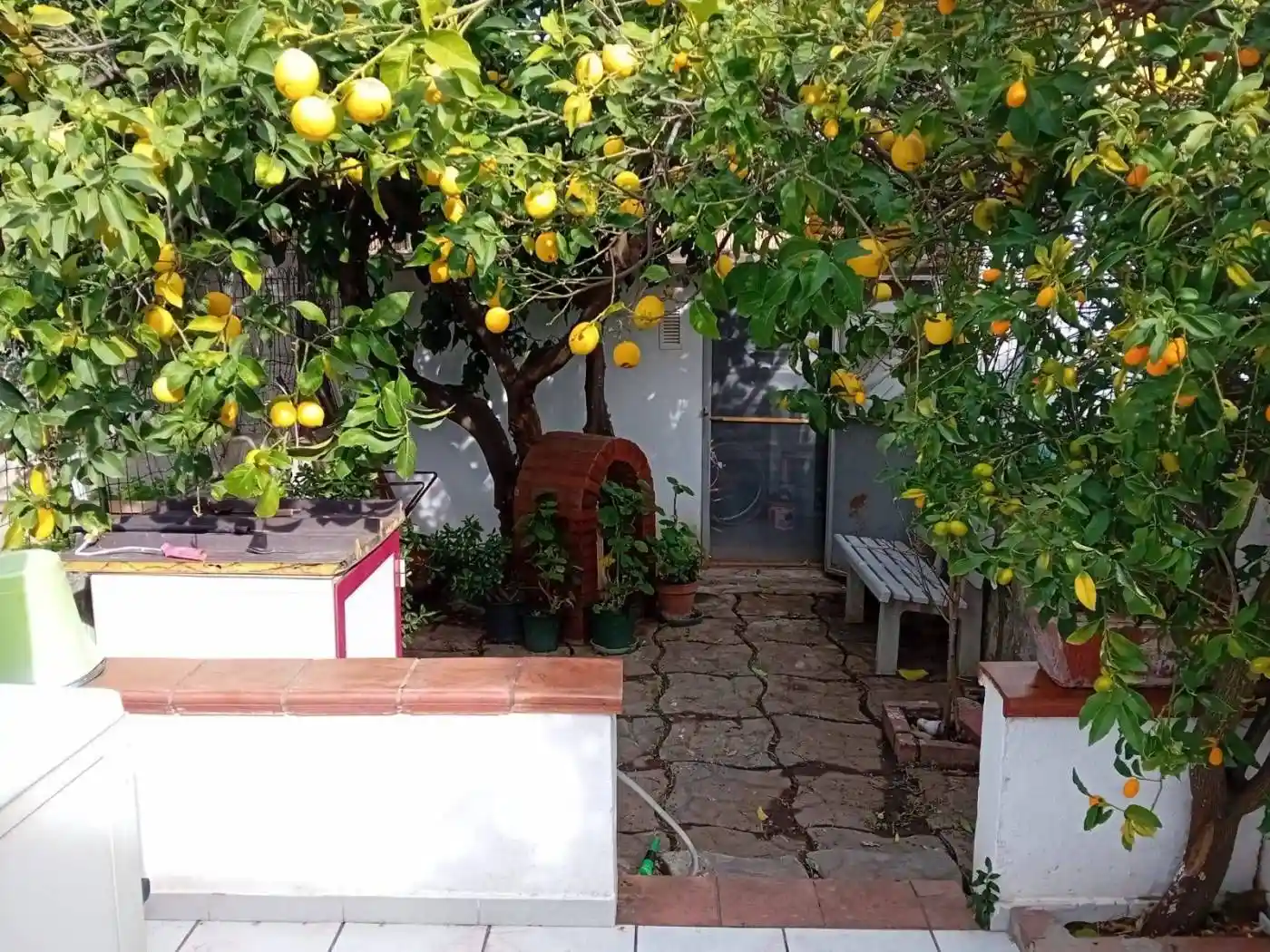 Villa a schiera viale Nausicaa, Roccelletta, Borgia - foto 3