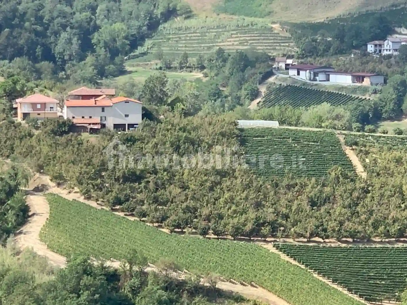 Casale regione Oliva 241, Cassinasco - foto 4