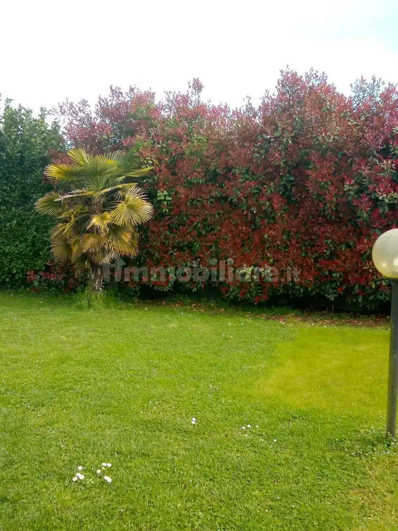 Appartamento in affitto a Sarzana