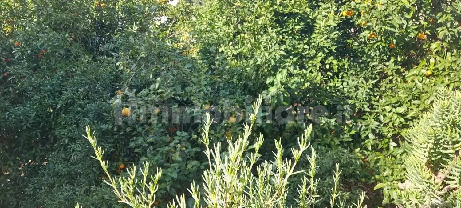 Appartamento in vendita a Salerno