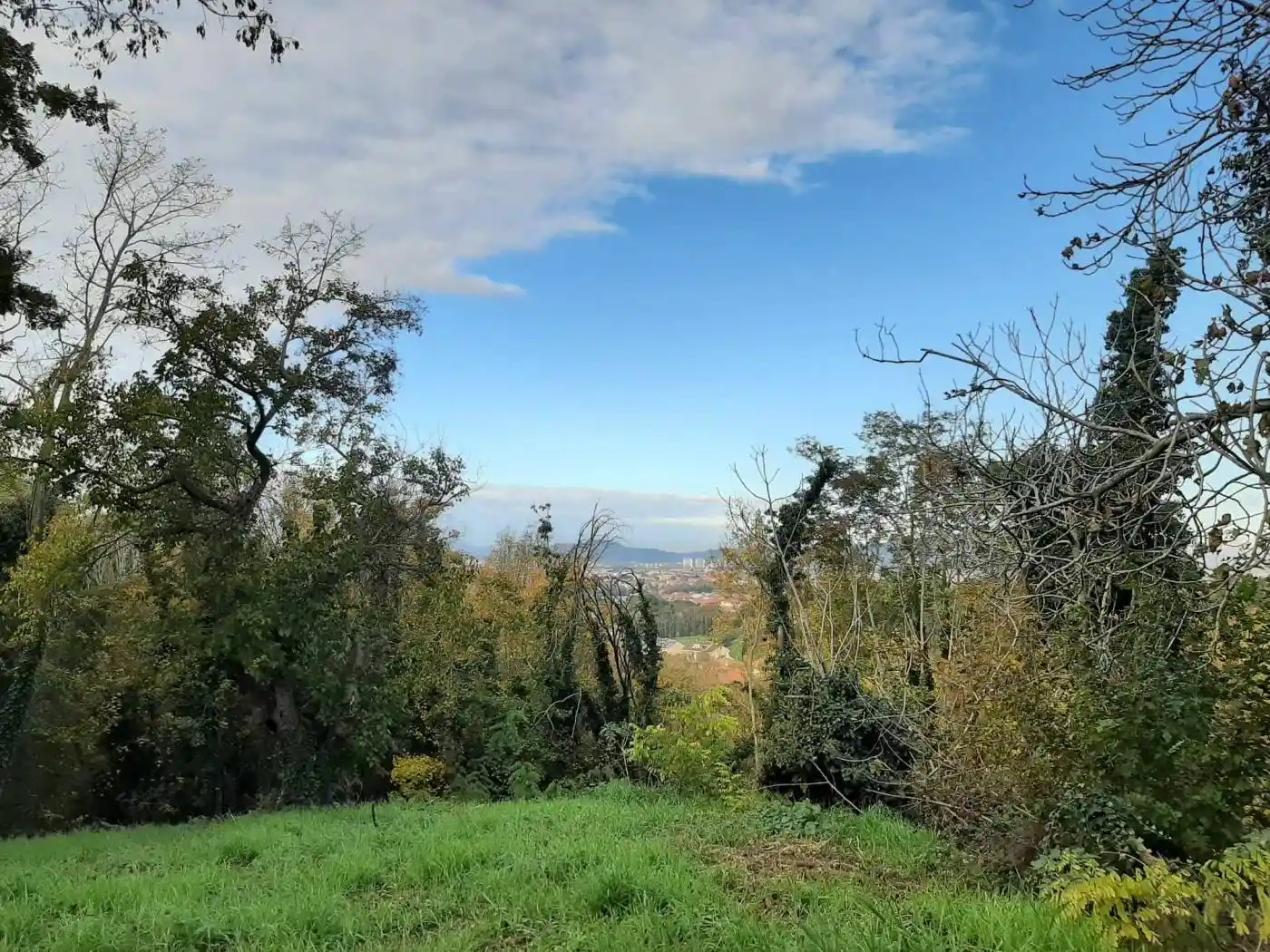 Rustico via Eugenio Barsanti 24, Muraglia, Pesaro - foto 5