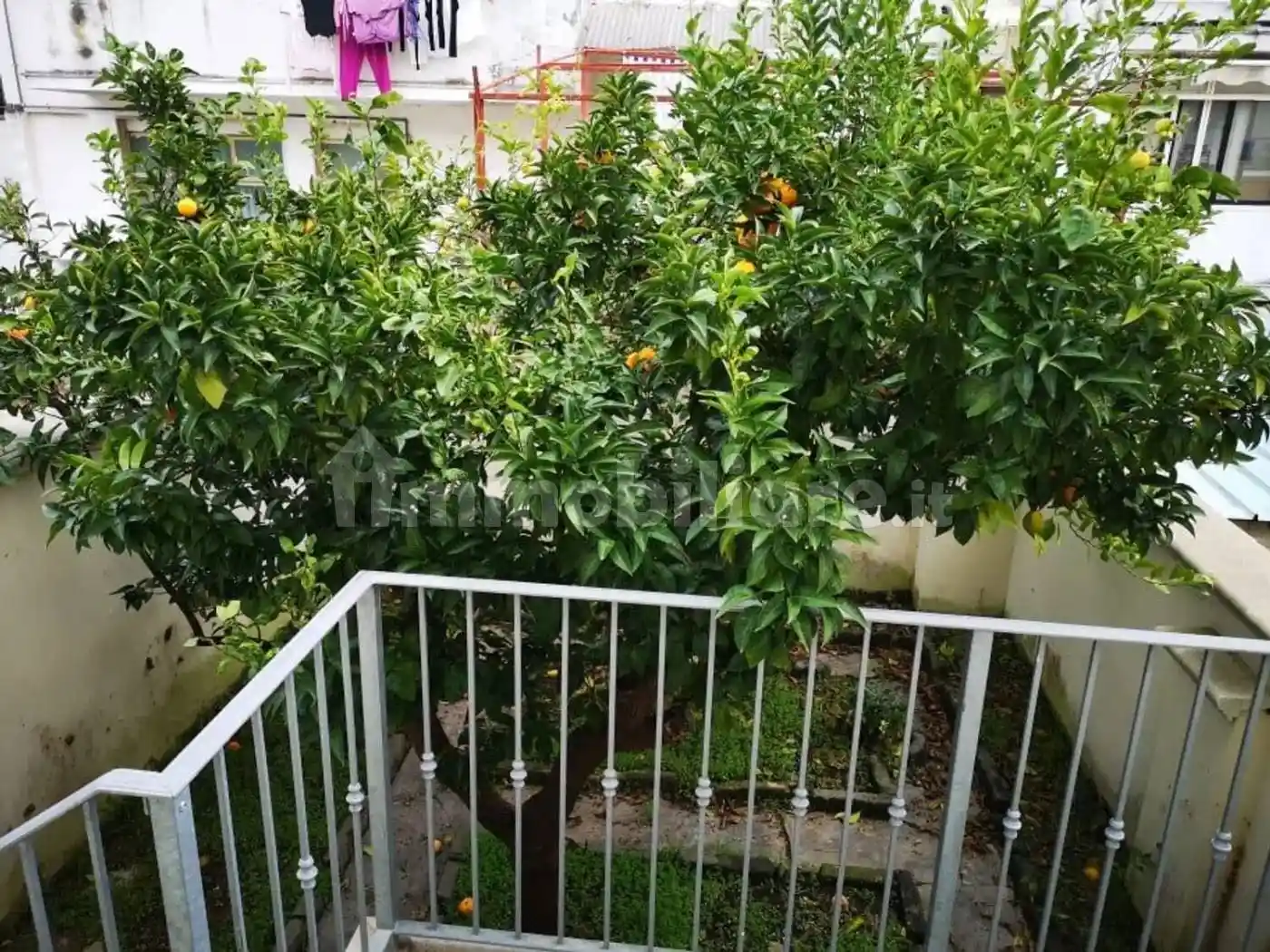 Appartamento in vendita a San Giorgio Ionico