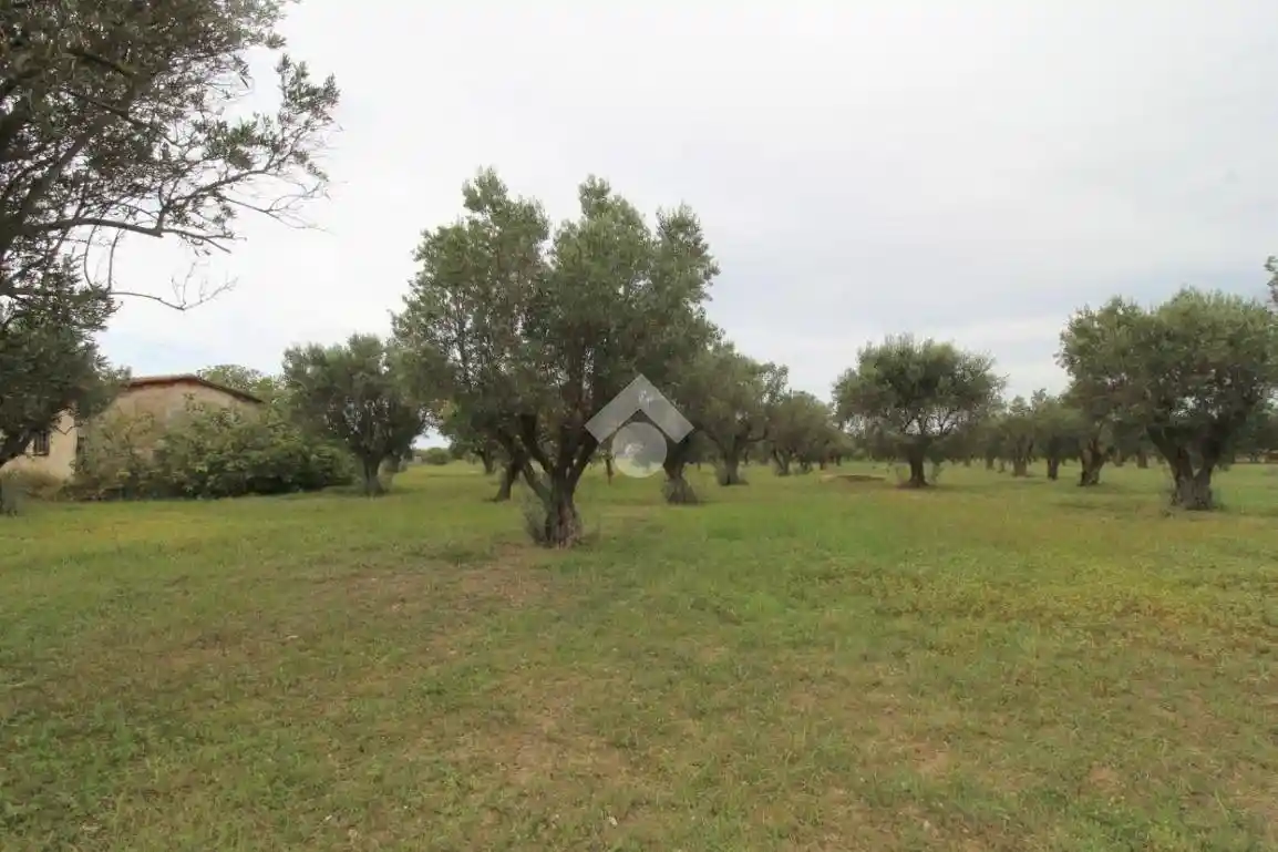 Terratetto unifamiliare Località Bonnace, Isola di Capo Rizzuto - foto 2