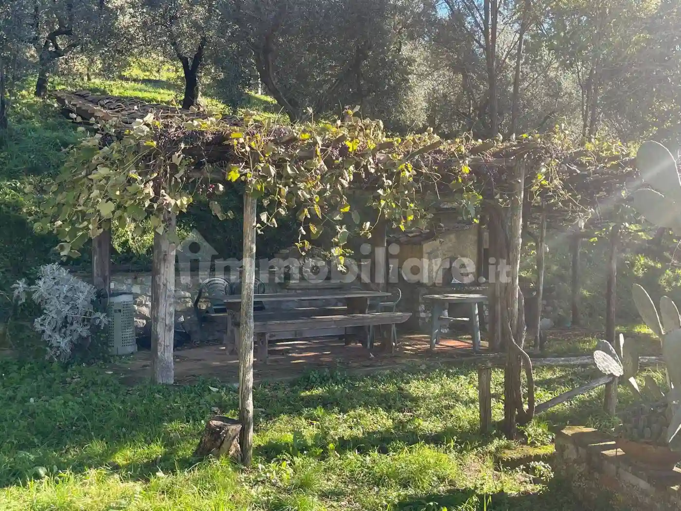 Rustico - Casale - foto 5