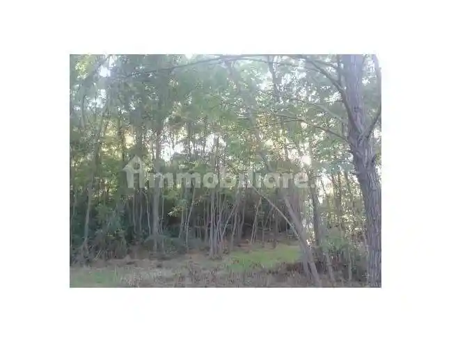 Terratetto unifamiliare via Turchiciello 19, Ariano Irpino - foto 5