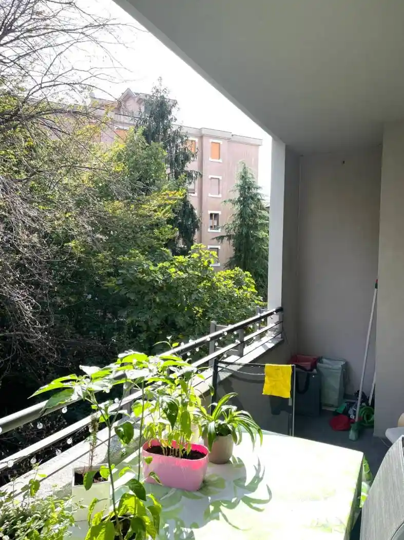 Appartamento in affitto a Monza