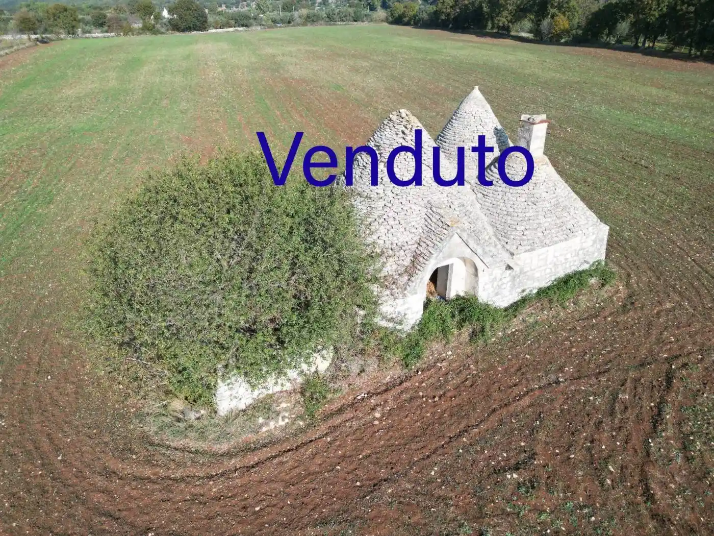 Rustico - Casale in vendita a Monopoli
