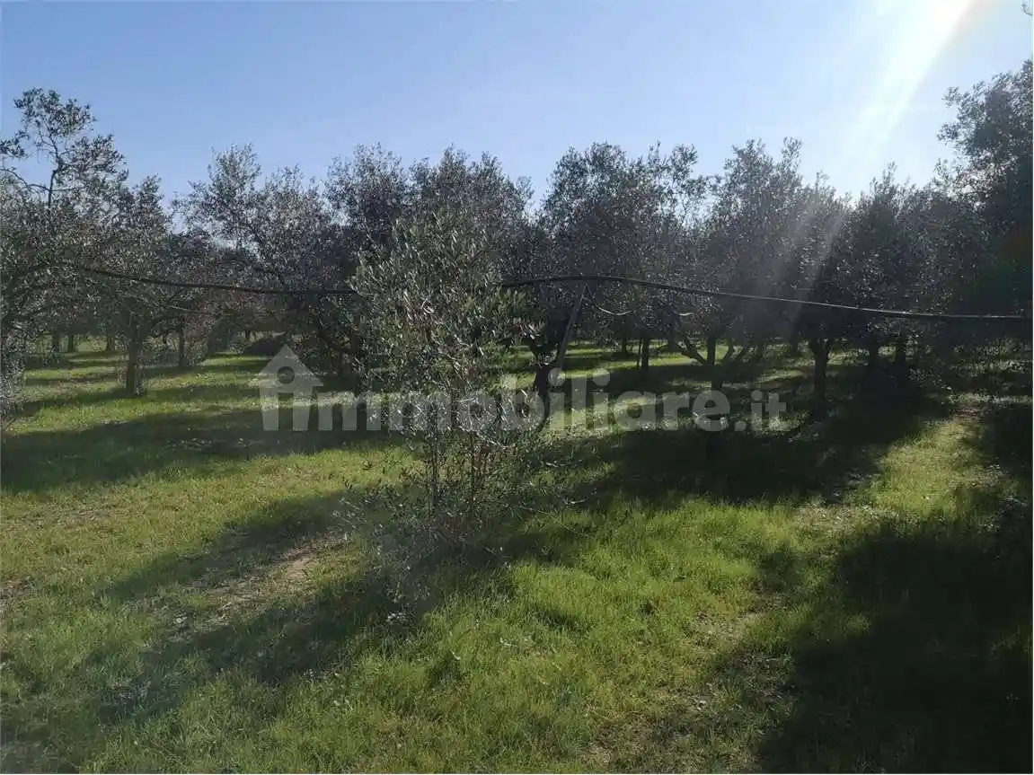 Villa unifamiliare via lavoria, 1, Crespina e Lorenzana - foto 3