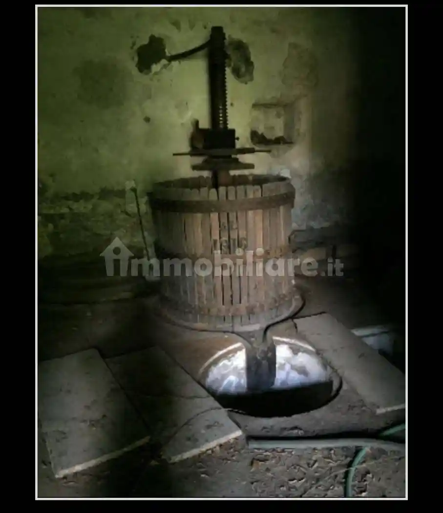 Palazzo - Edificio - foto 3