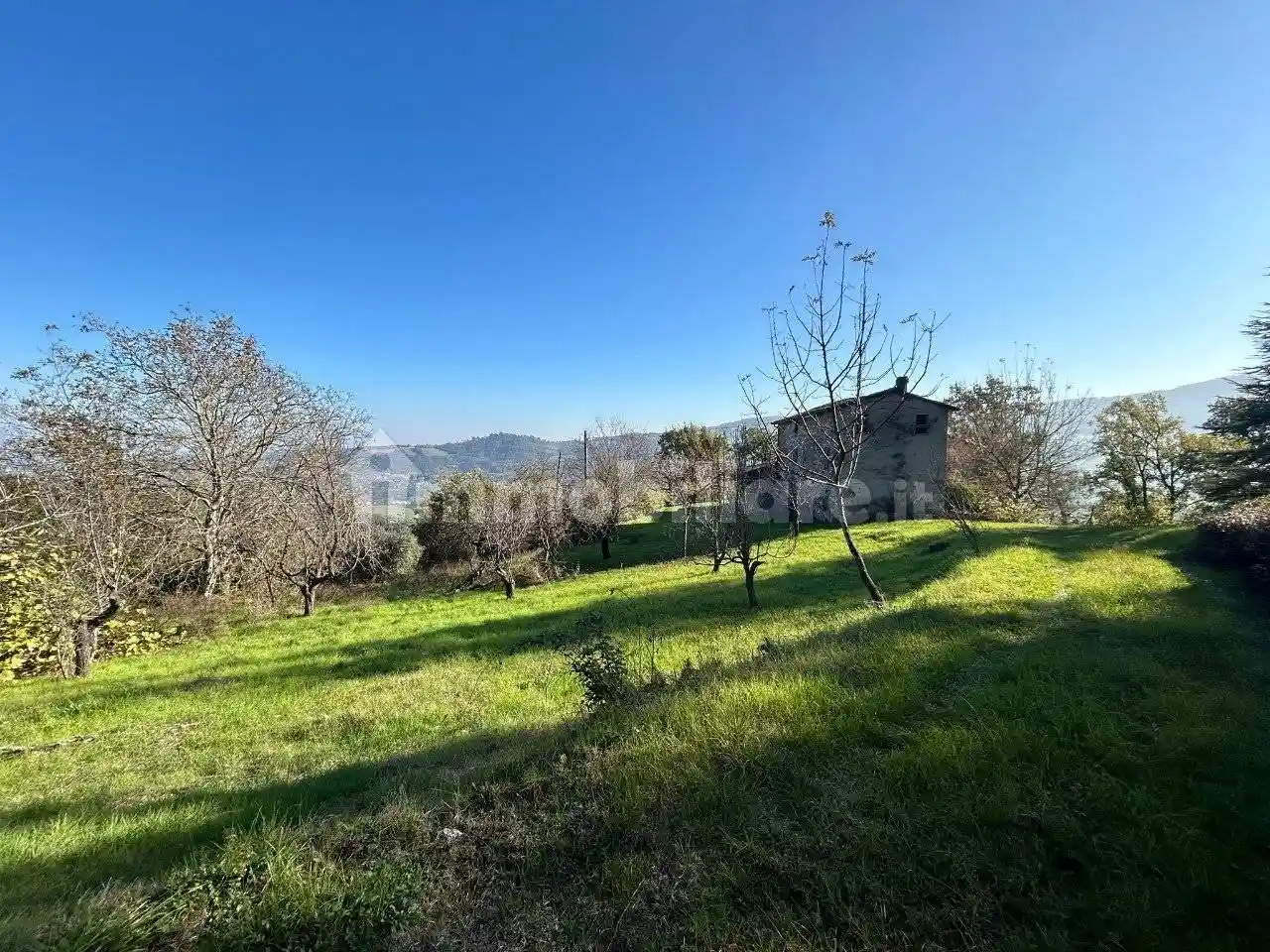 Rustico - Casale in vendita a Travo