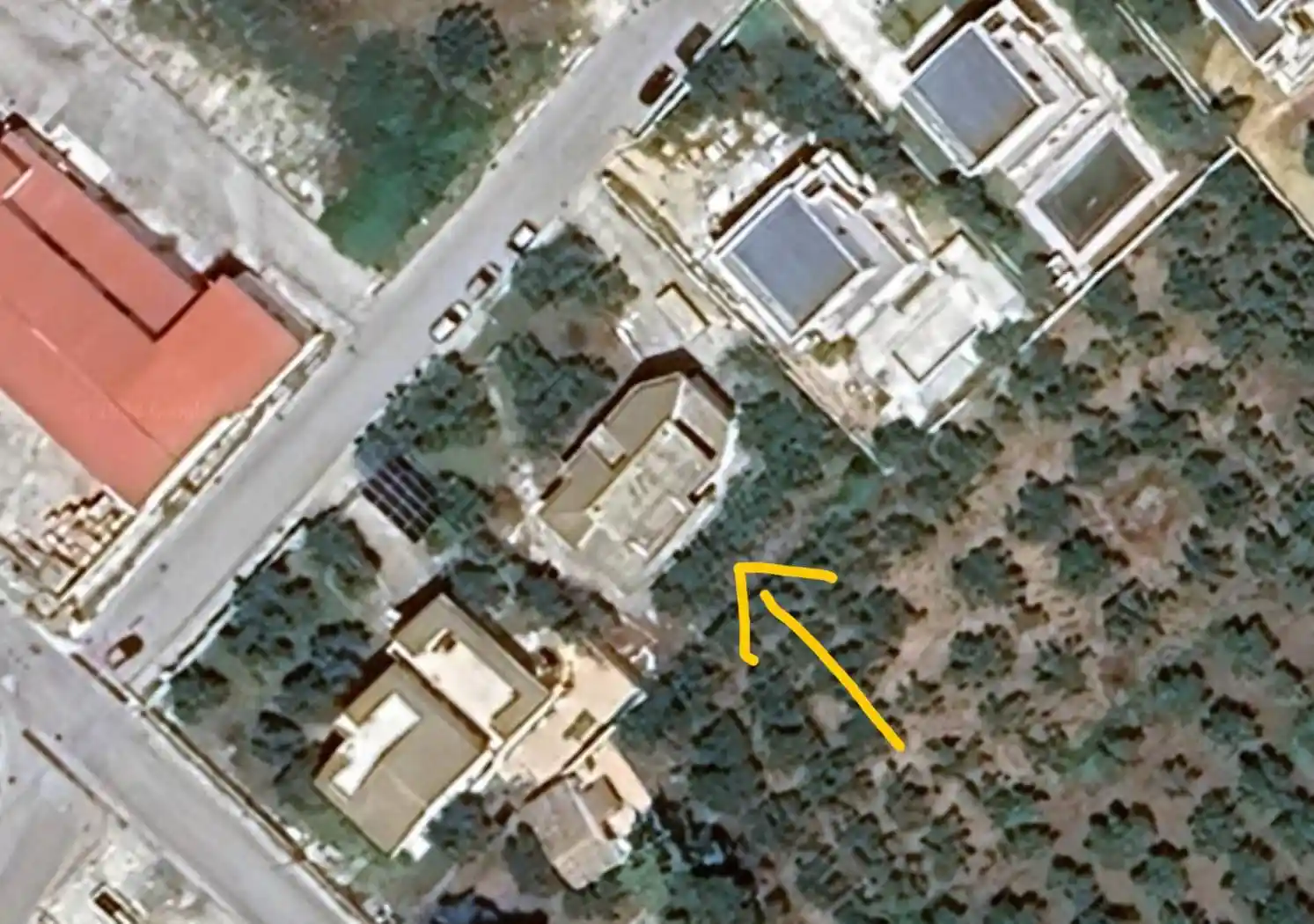 Palazzo - Edificio in Affitto - foto 3