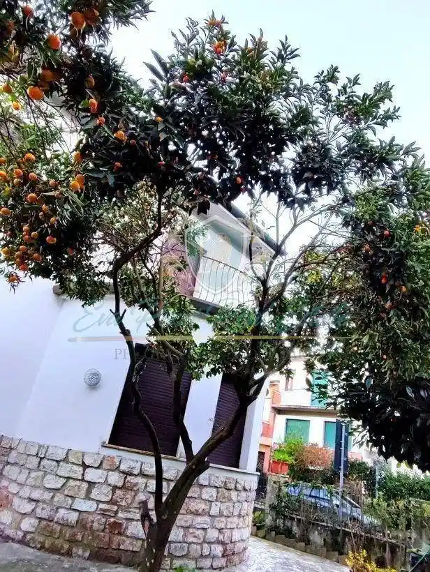 Villa in vendita a Viareggio