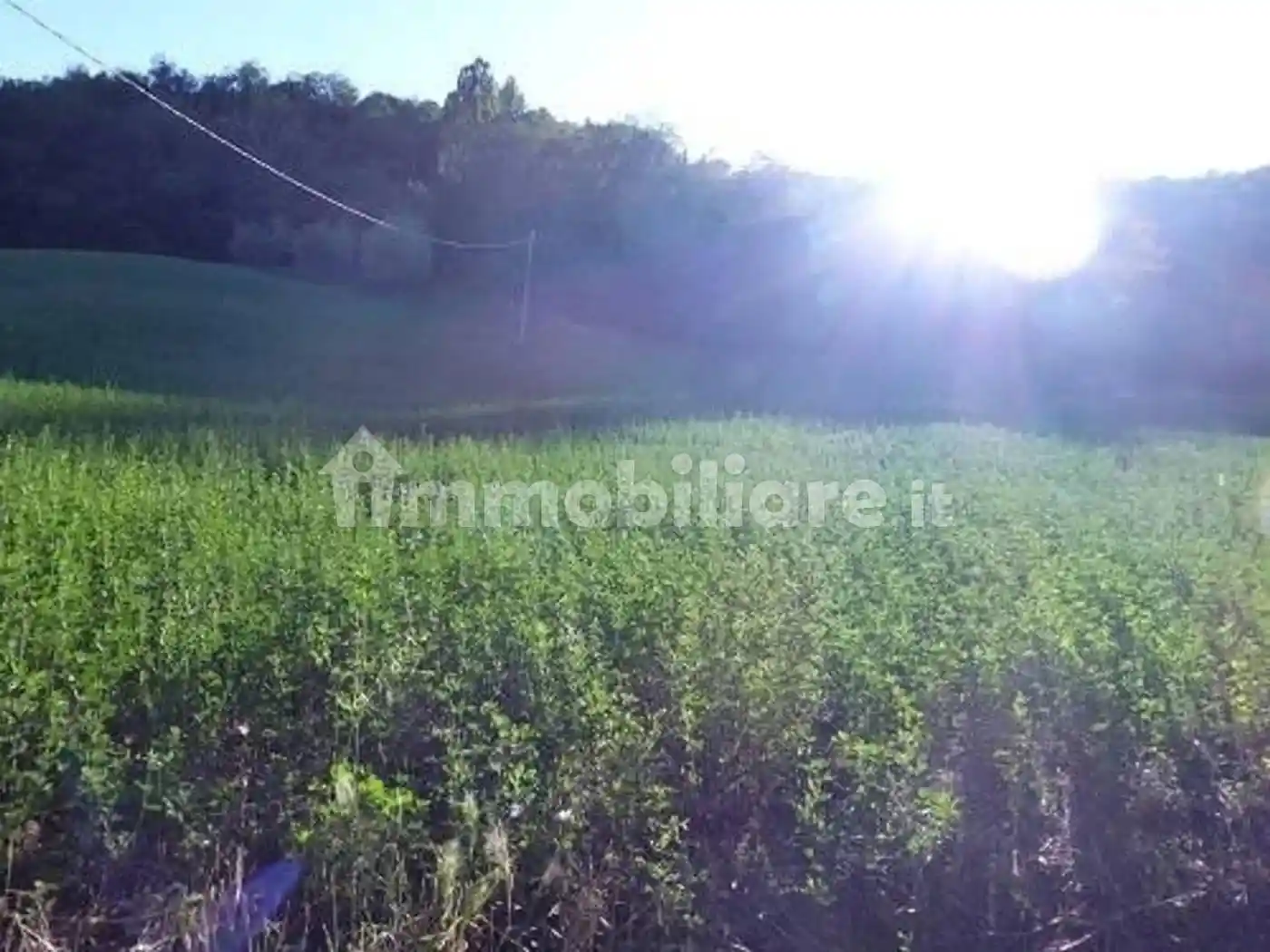 Rustico - Casale in vendita a Urbino