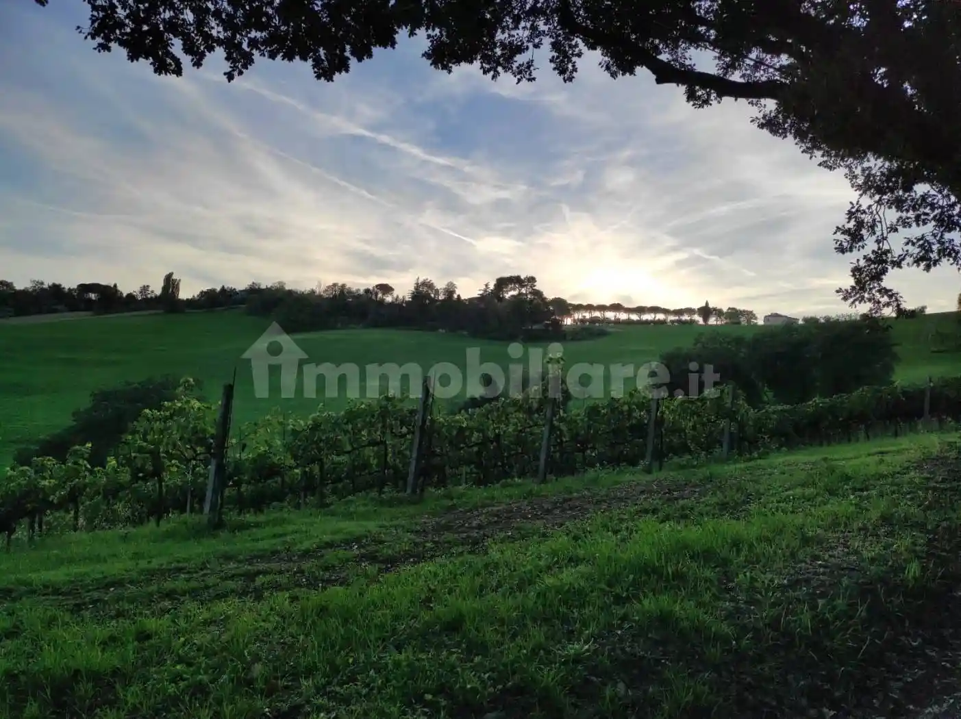 Rustico - Casale in vendita a Pesaro