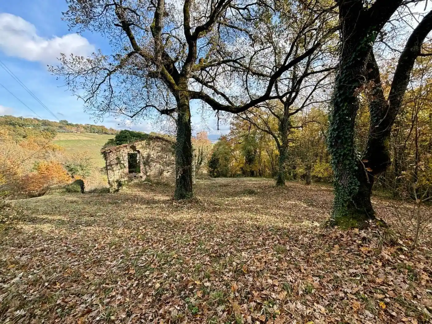Rustico - Casale in vendita a Monte Castello di Vibio