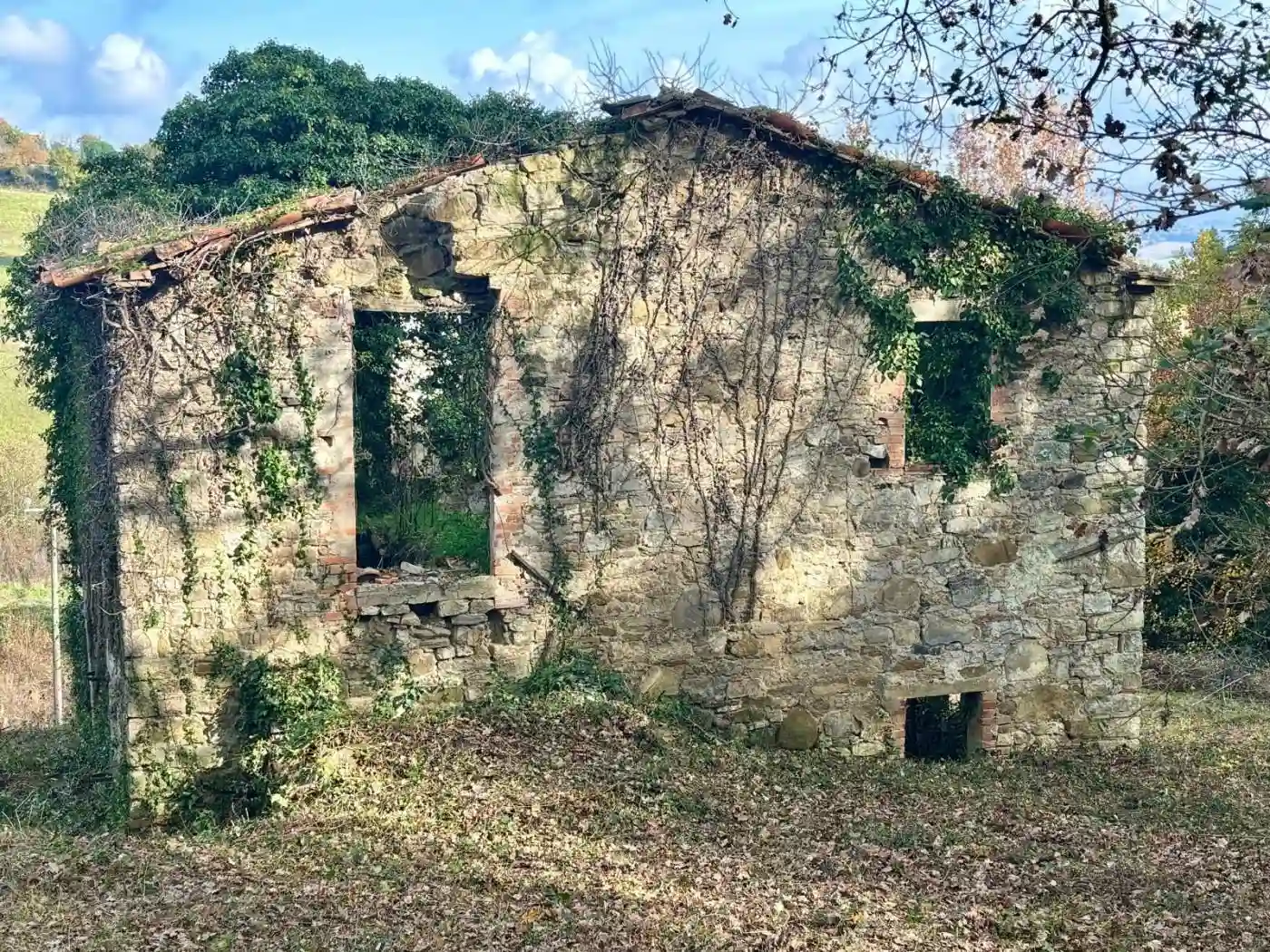 Rustico - Casale - foto 5