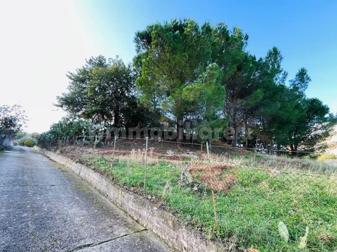 Palazzo - Edificio - foto 5