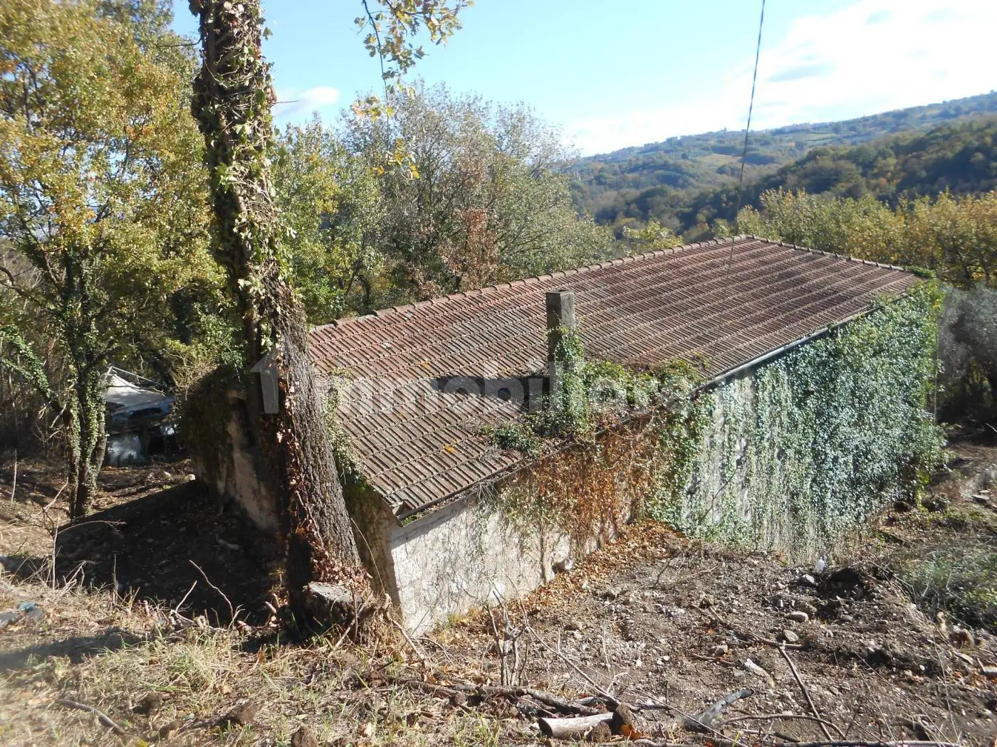 Rustico - Casale in vendita a Montemiletto