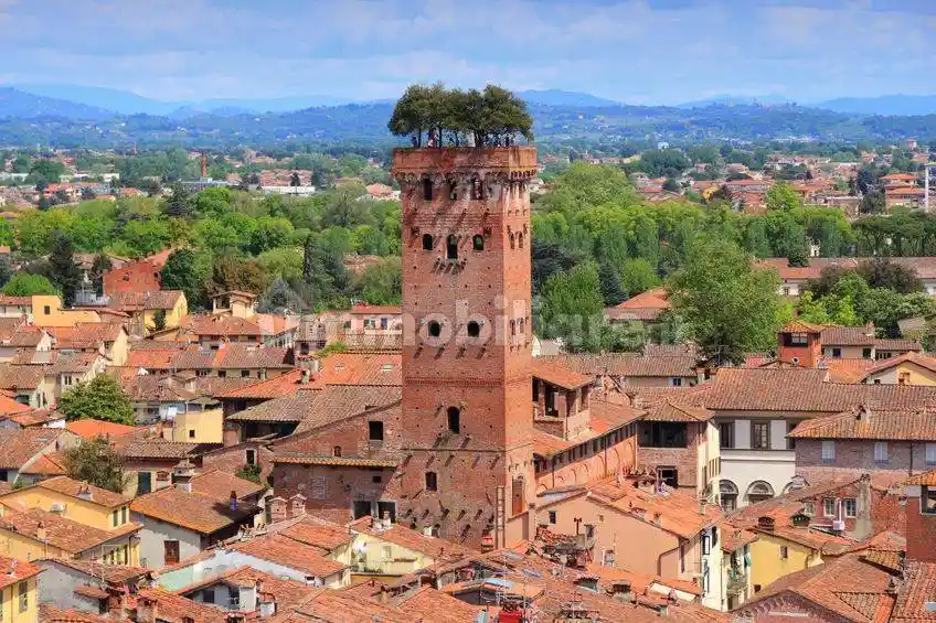 Trilocale via di Carraia, Carraia - Colognora, Capannori - foto 5