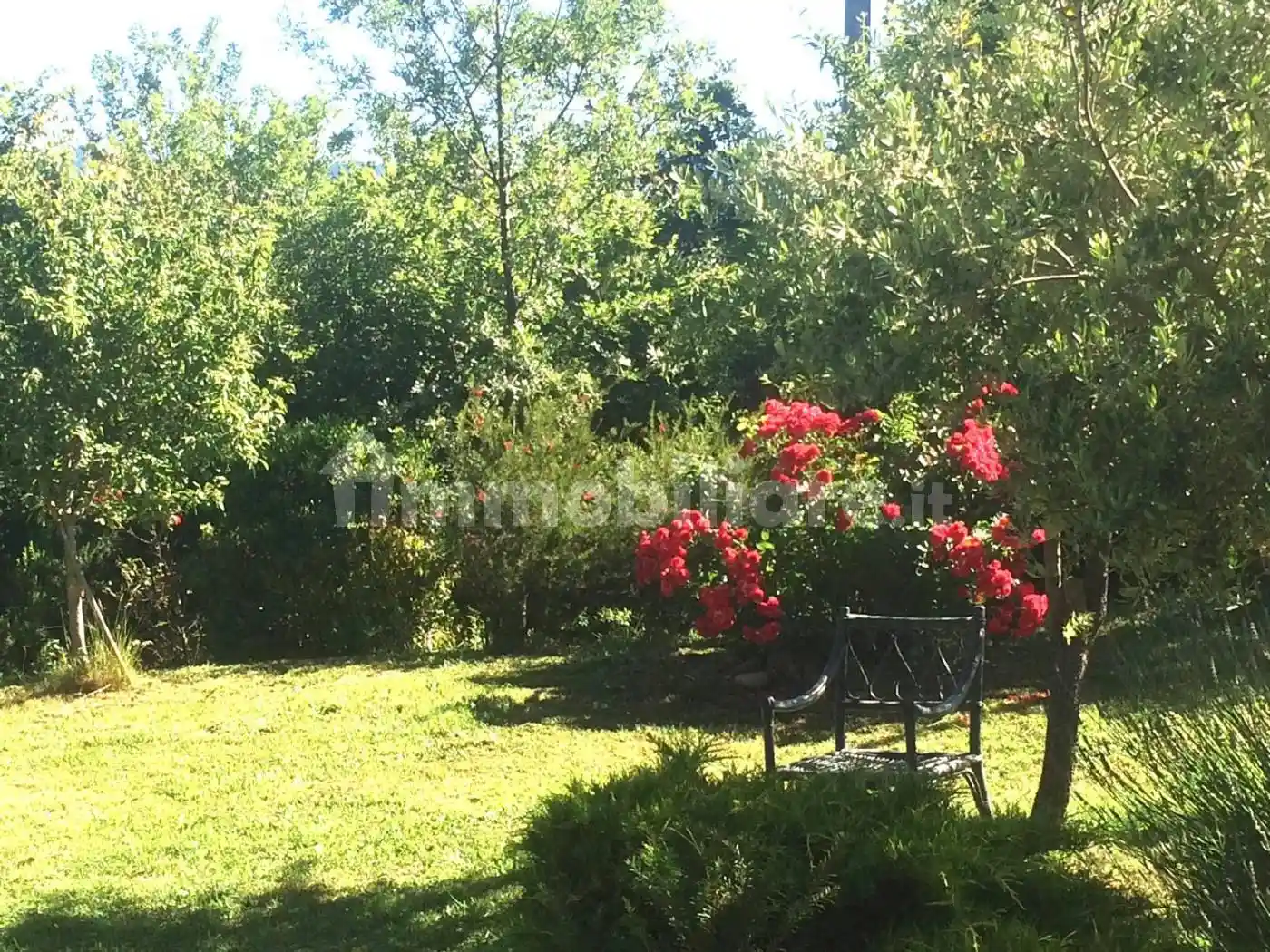 Terratetto unifamiliare Corleto Perticara, Centro, Corleto Perticara - foto 4