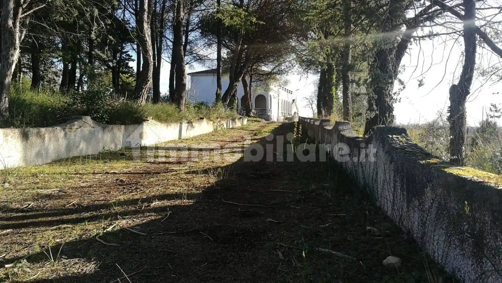 Palazzo - Edificio in Vendita - foto 5