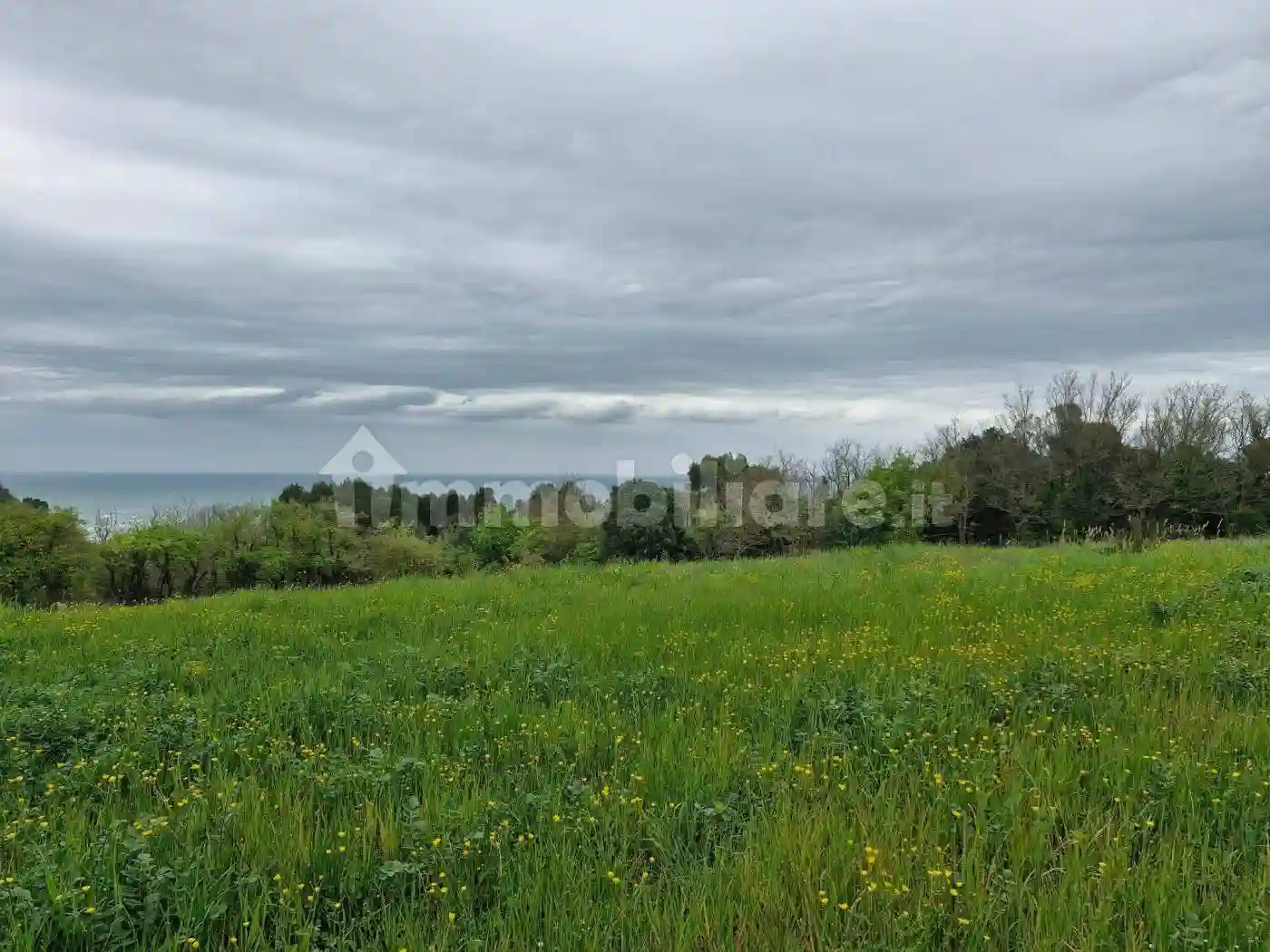 Casale Strada Panoramica Ardizio 100, Colle Ardizio, Pesaro - foto 4