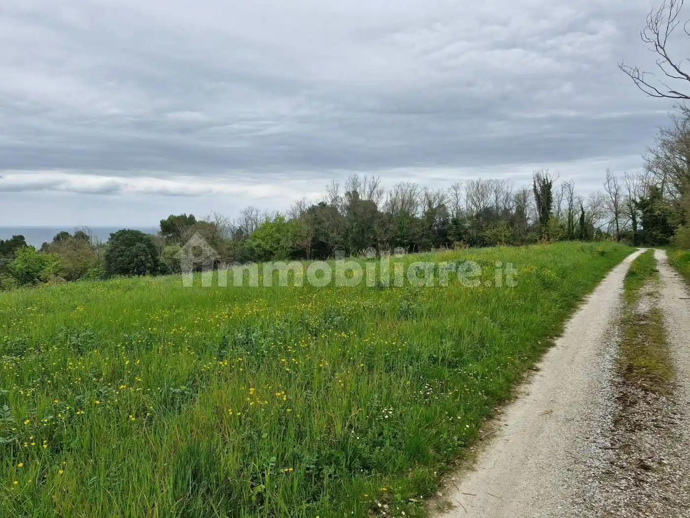 Casale Strada Panoramica Ardizio 100, Colle Ardizio, Pesaro - foto 3