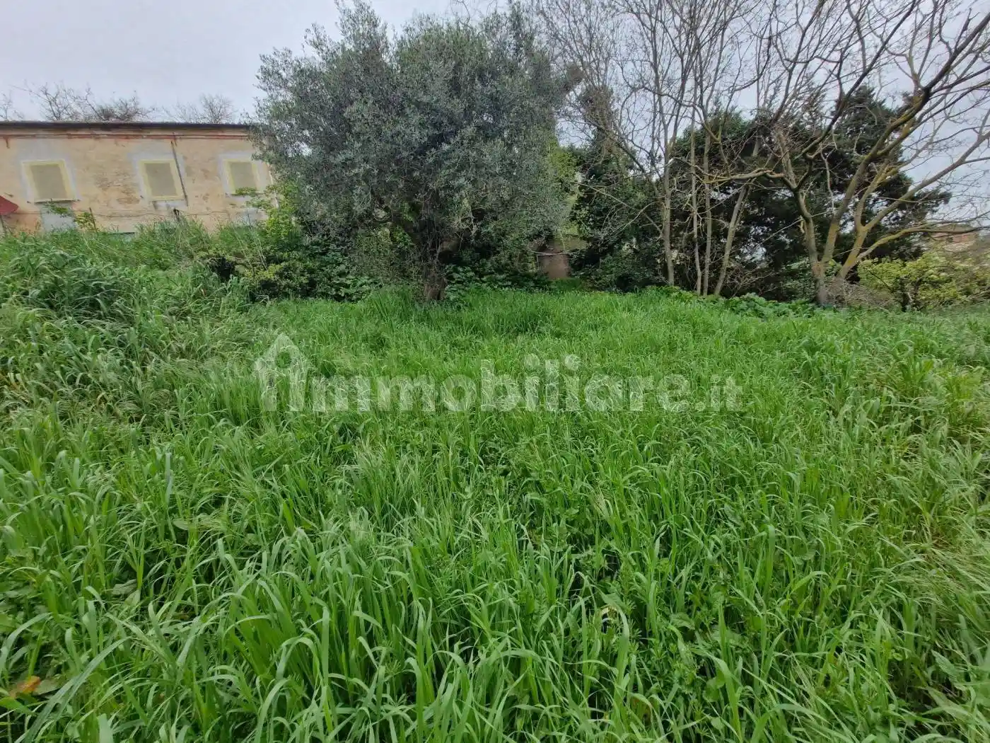 Casale Strada Panoramica Ardizio 100, Colle Ardizio, Pesaro - foto 5