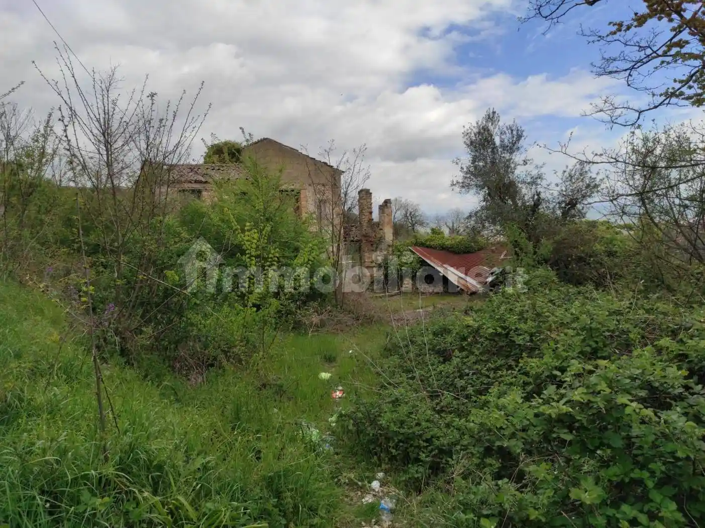 Casale Contrada Torre Alfieri, Torre Alfieri, Benevento - foto 3