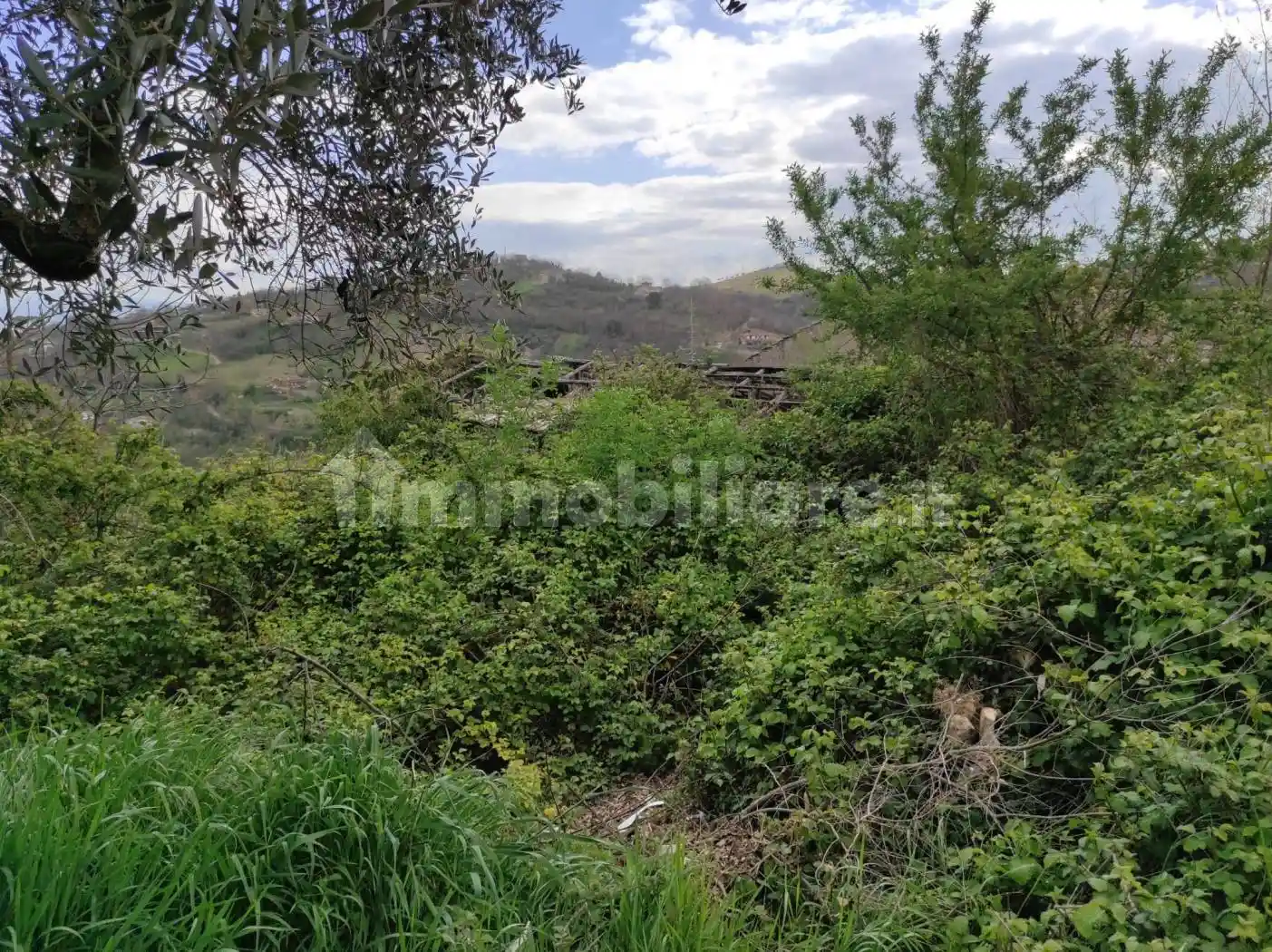 Casale Contrada Torre Alfieri, Torre Alfieri, Benevento - foto 4