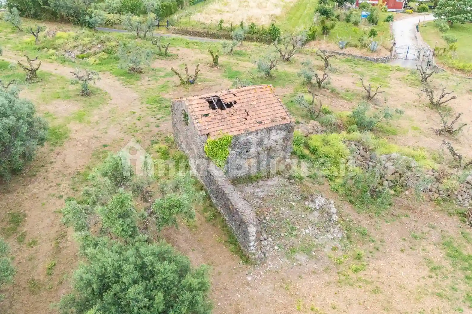 Rustico - Casale - foto 5