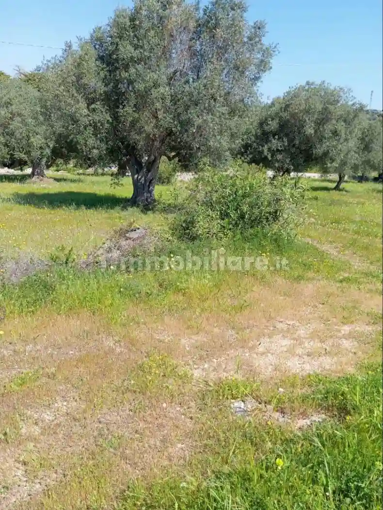Rustico via Campanile, Campanile, Fumarola, Cavalleriza, Ostuni - foto 4
