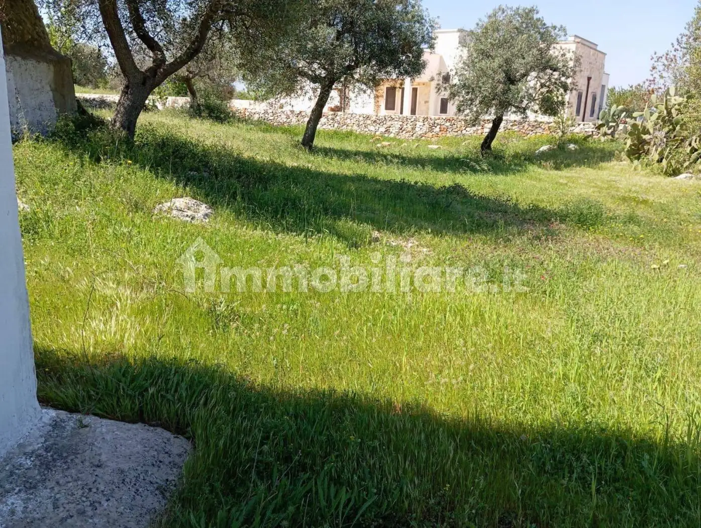 Rustico - Casale in affitto a Ostuni