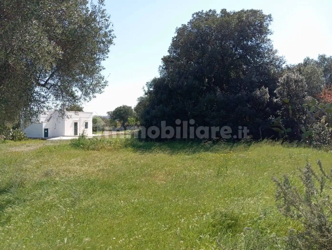 Rustico via Campanile, Campanile, Fumarola, Cavalleriza, Ostuni - foto 4