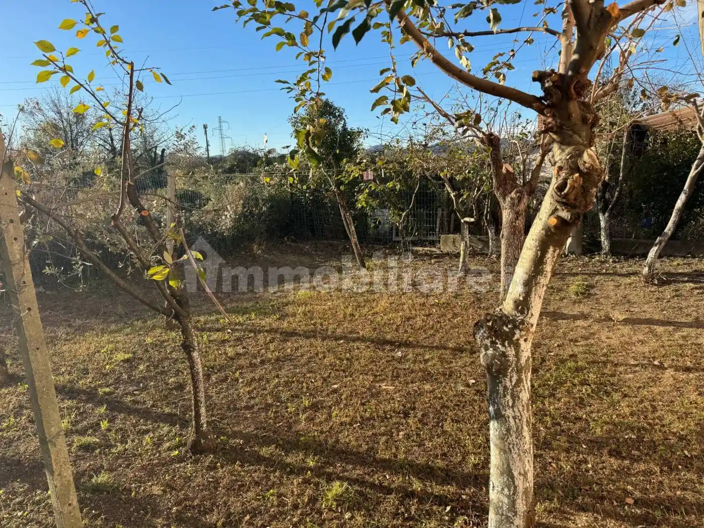 Villa in vendita a Collecchio