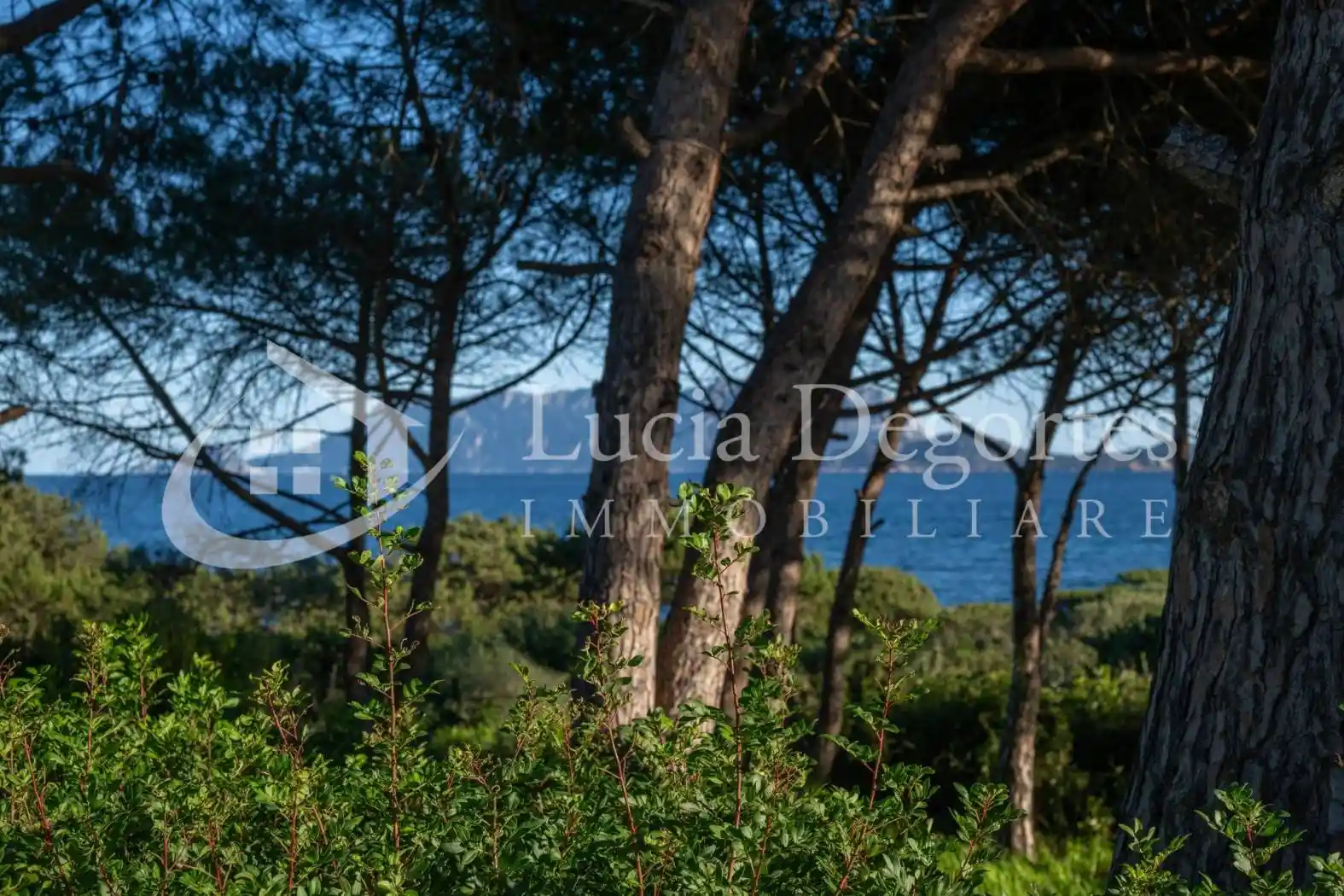 Villa in vendita a Olbia