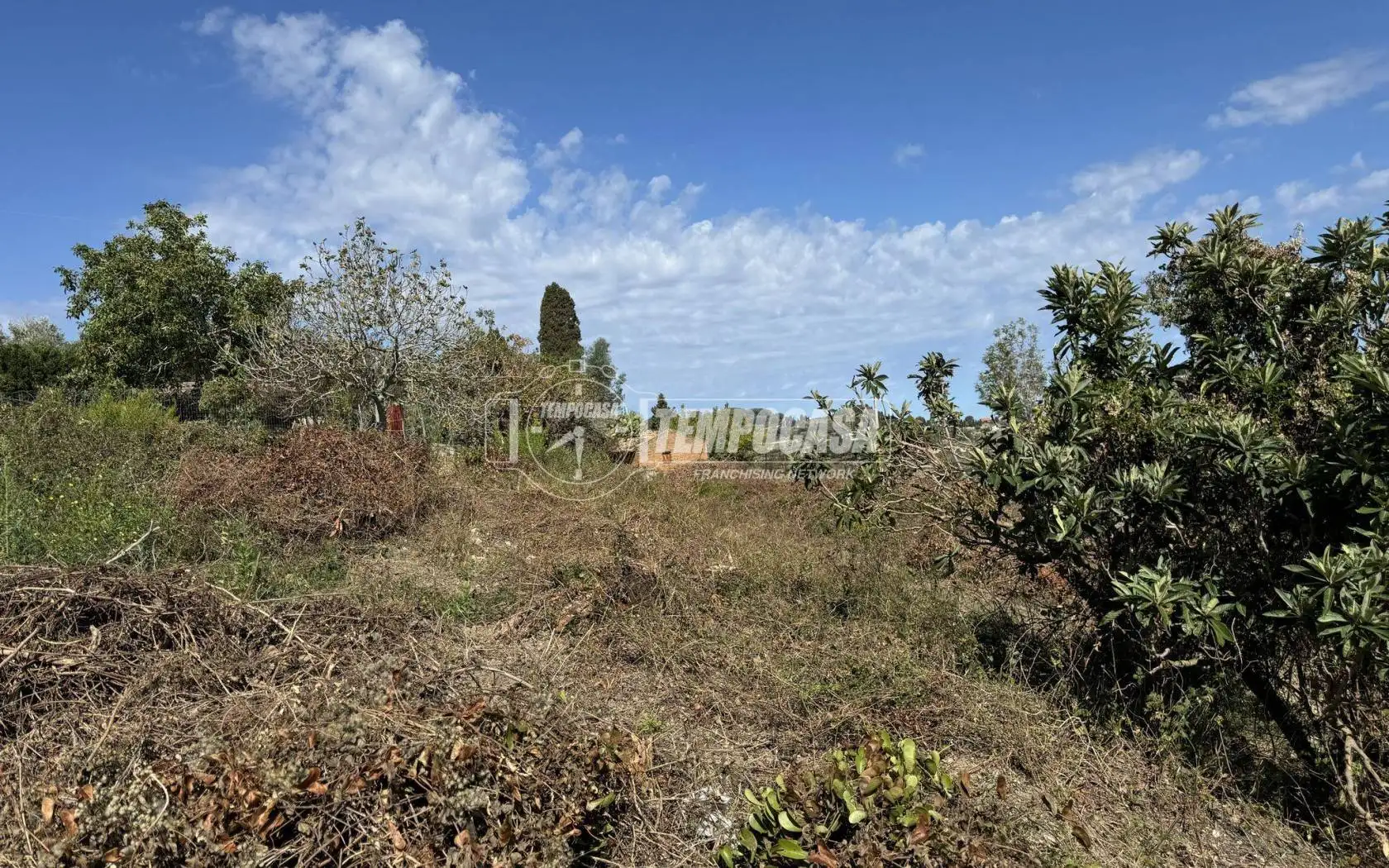 Rustico - Casale in vendita a Messina