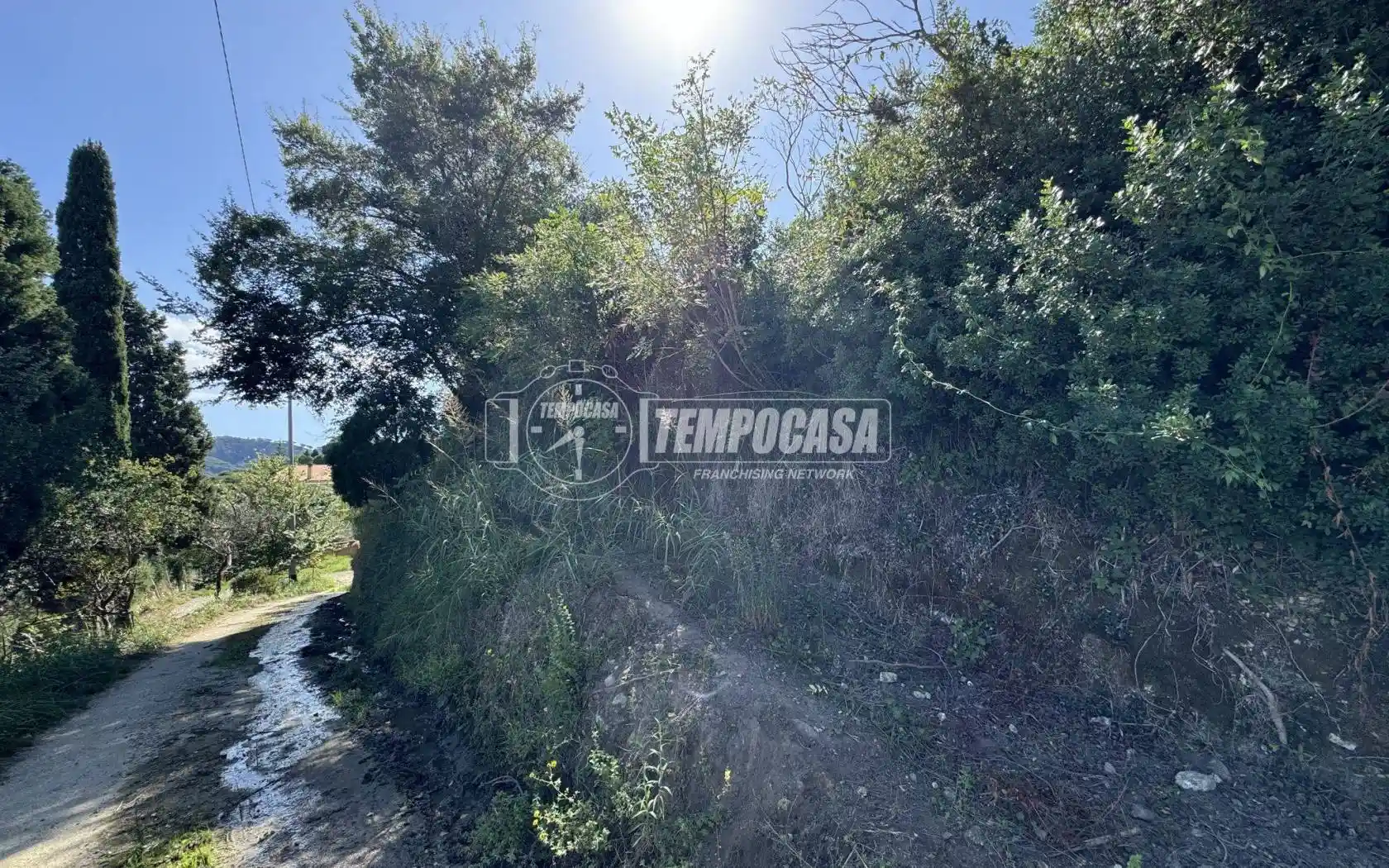 Rustico via Nazionale Gesso, Gesso, Messina - foto 2