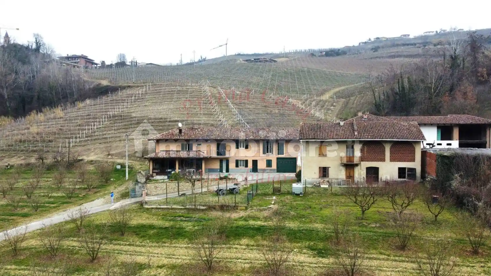 Rustico - Casale in vendita a Neive