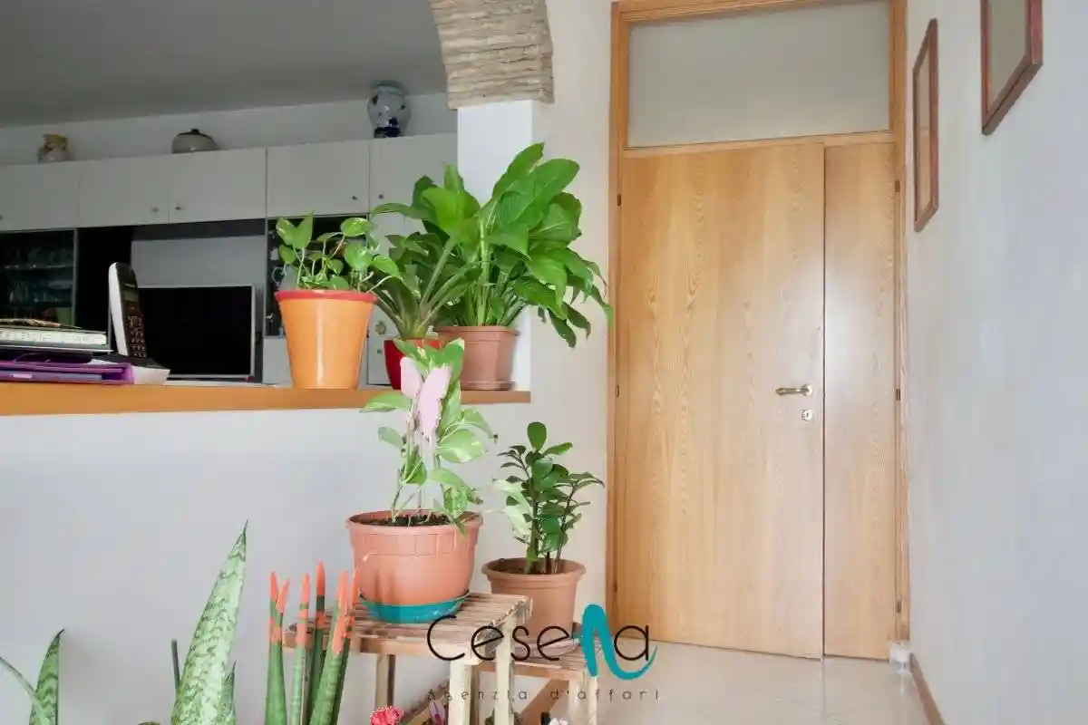 Terratetto unifamiliare via Cesenatico 5796, Macerone, Cesena - foto 3