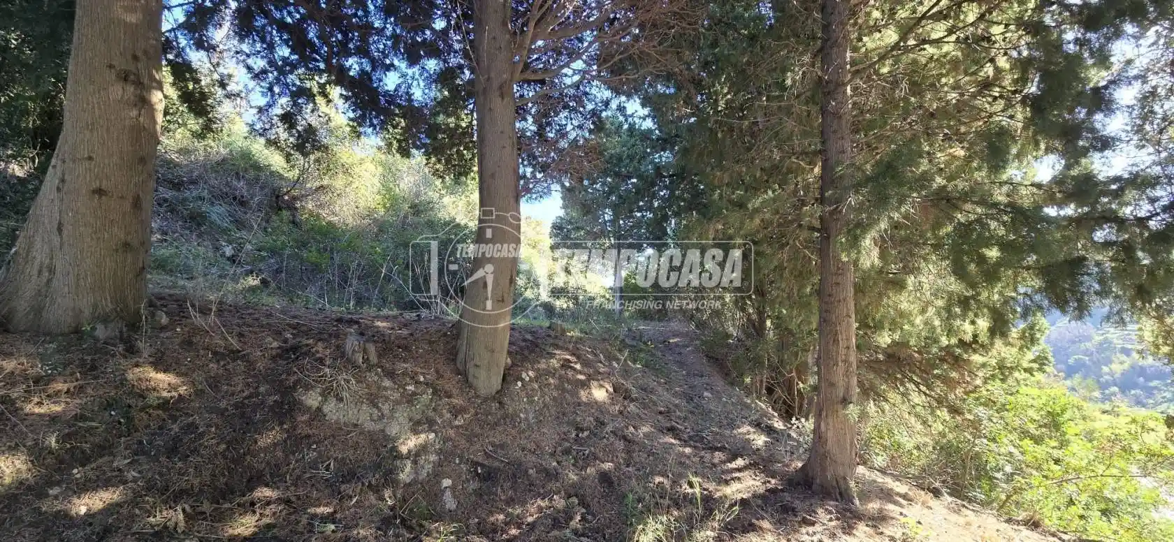 Casa colonica via nazionale gesso 1/pinnari, Gesso, Messina - foto 3