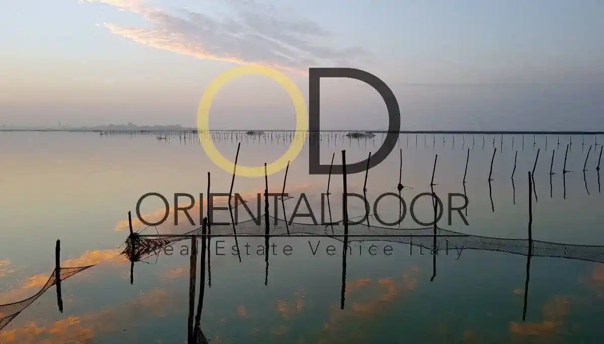 Palazzo - Edificio in Vendita - foto 4