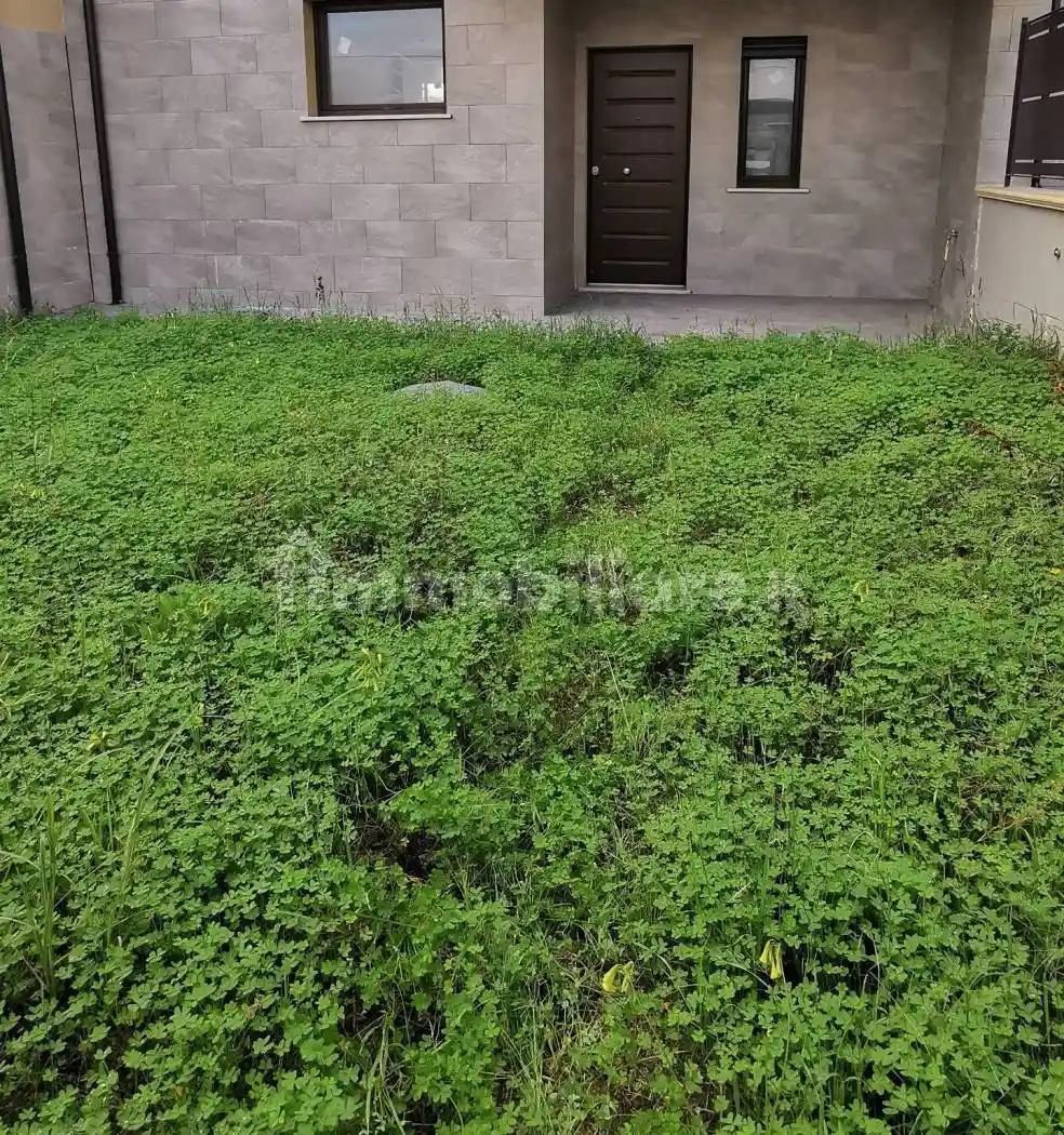 Villa a schiera 4 locali, nuova, Settingiano - foto 2