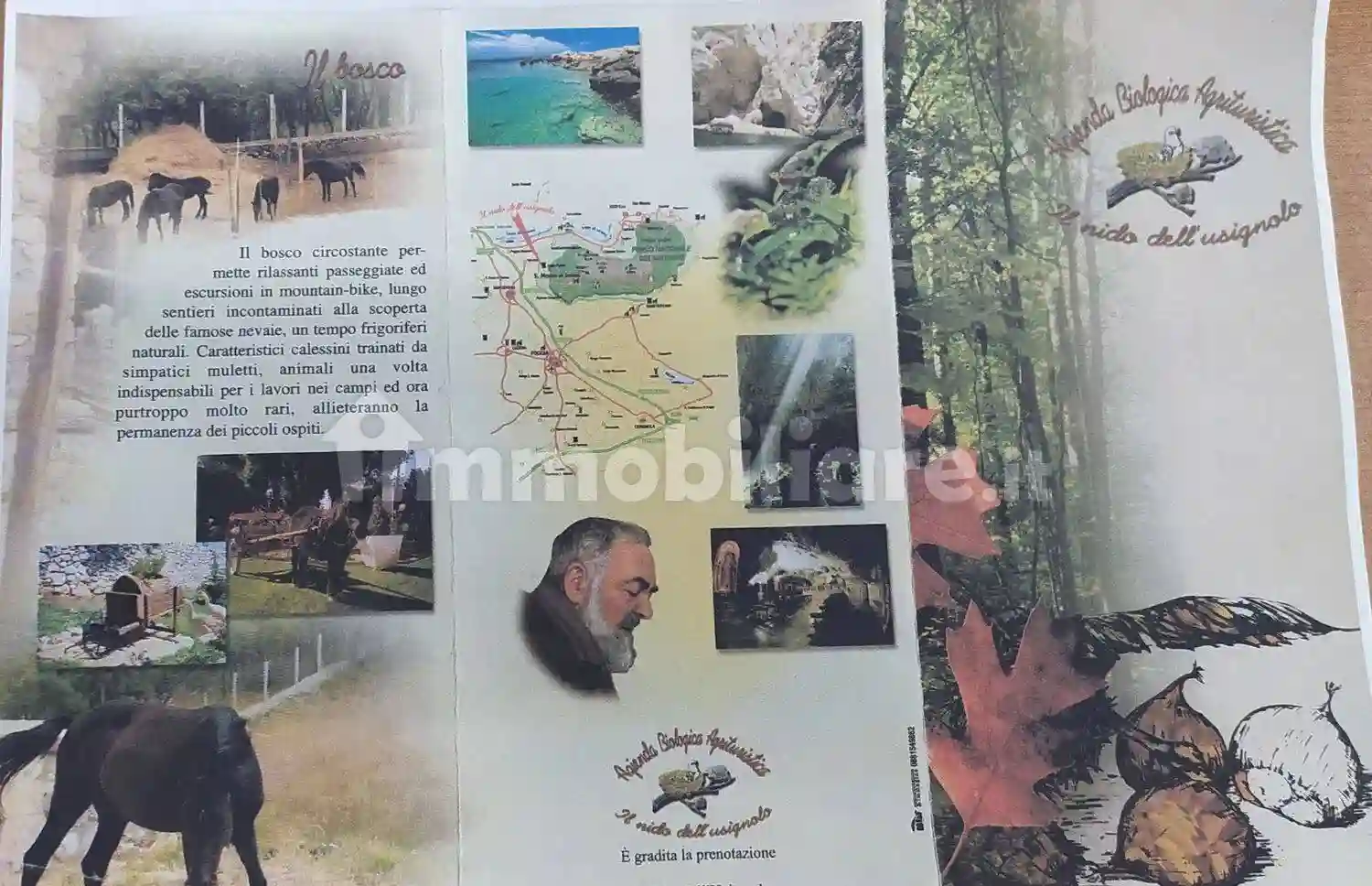 Rustico - Casale - foto 4