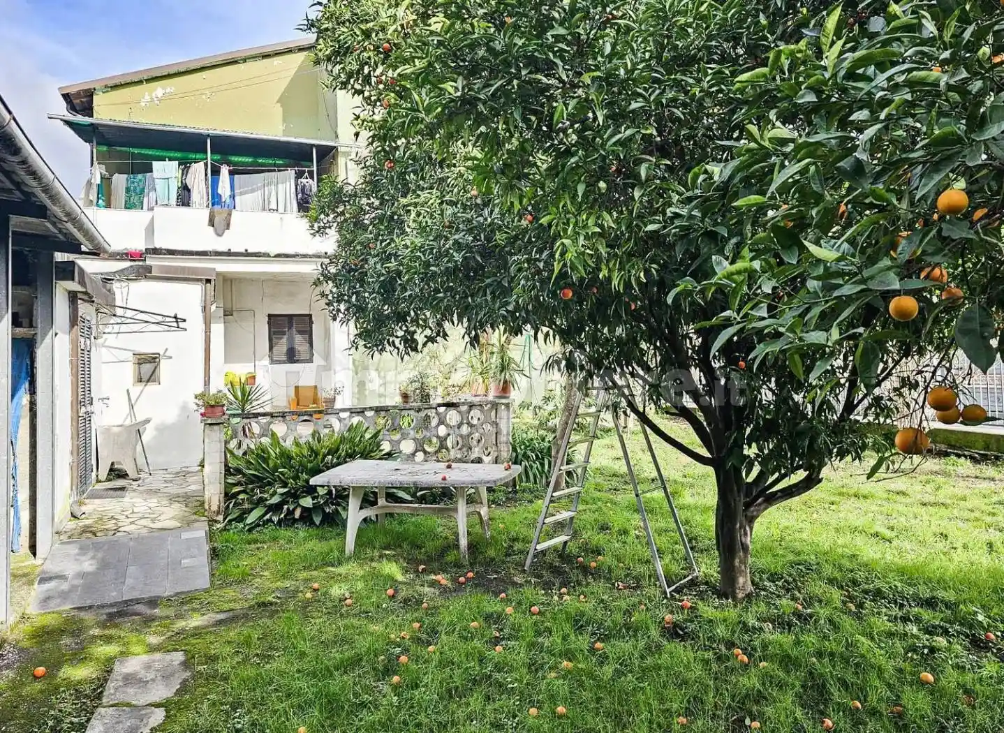 Villa in vendita a Carrara