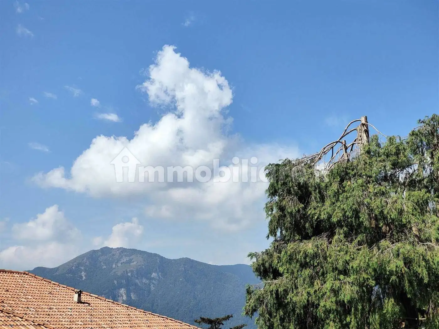 Appartamento in vendita a Zelbio