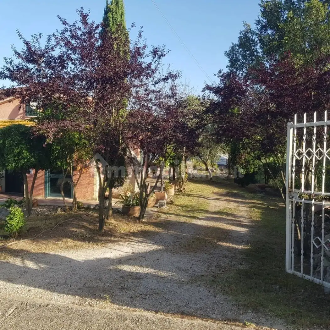 Casale Strada Provinciale Ortana, Bassano in Teverina - foto 3