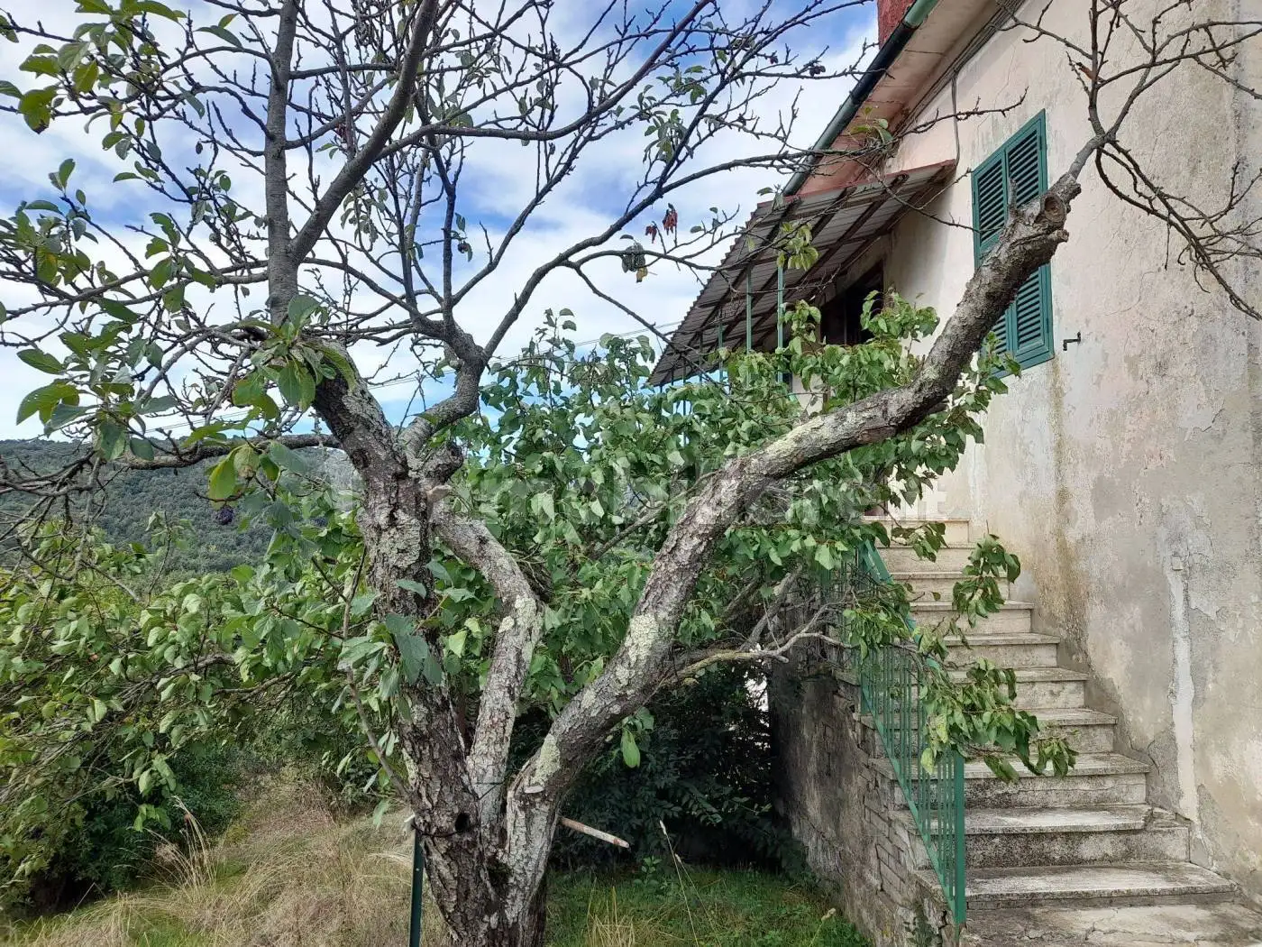 Rustico - Casale in vendita a Chiusdino