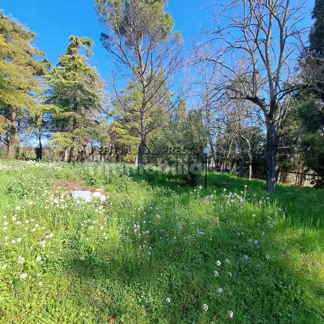 Terratetto unifamiliare via Borsano, San Lorenzo in Noceto, Forlì - foto 2
